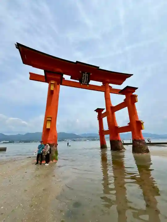 厳島神社の{uncategorized: "未分類", other: "その他", undefined: "問題あり", building: "その他建物", grave: "お墓", sacred_gate: "鳥居", guardian: "狛犬", statue: "像", buddha: "仏像", history: "歴史", nature: "自然", garden: "庭園", animal: "動物", pagoda: "塔", temizu: "手水舎", mountain_gate: "山門・神門", sanctuary: "本殿・本堂", subordinate: "末社・摂社", art: "芸術", scenery: "景色", jizo: "地蔵", ema: "絵馬", goshuin: "御朱印", omikuji: "おみくじ", items: "授与品その他", amulet: "お守り", goshuincho: "御朱印帳", eats: "食事", festival: "お祭り", votive_dance: "神楽", shichigosan: "七五三参", wedding: "結婚式", experience: "体験その他", initially: "初詣", around: "周辺", anti_infection: "感染症対策"}