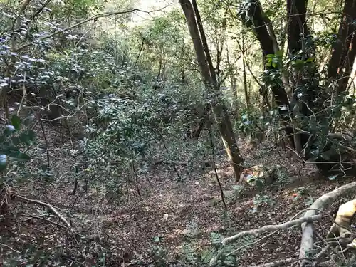 浅間神社の自然