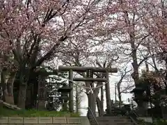 手稲神社(北海道)