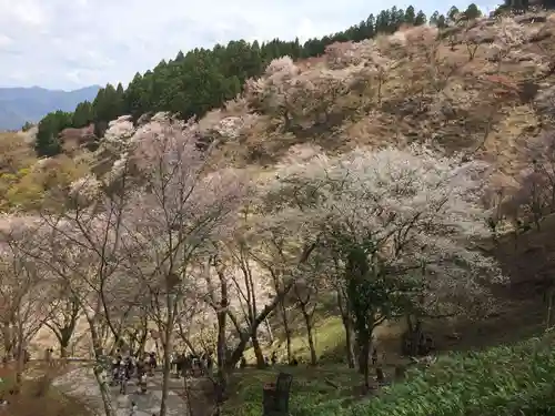 吉野水分神社（吉野町）の景色