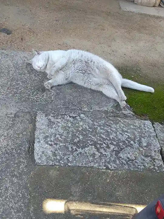羽黒神社(岡山県)