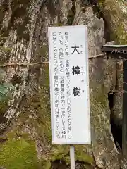 十輪寺の自然