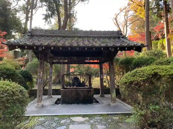 園城寺(三井寺)の手水舎