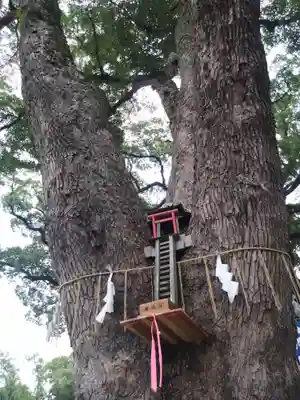加藤神社(熊本県)