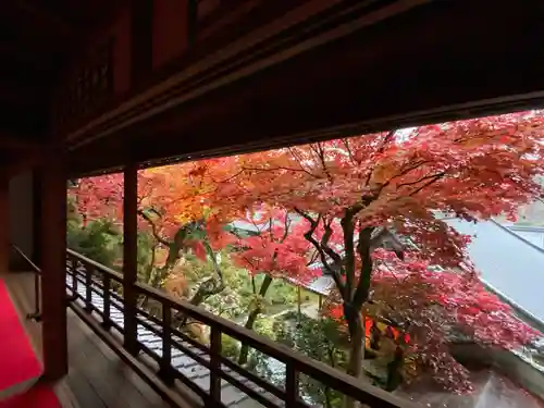 柳谷観音　楊谷寺の本殿・本堂