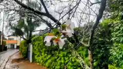 松山神社(千葉県)