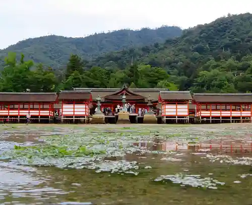 厳島神社の景色