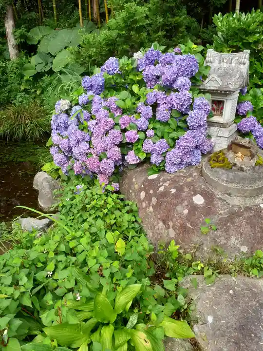青猿神社の自然