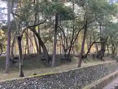 西芳寺(京都府)