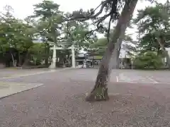 長浜八幡宮の庭園