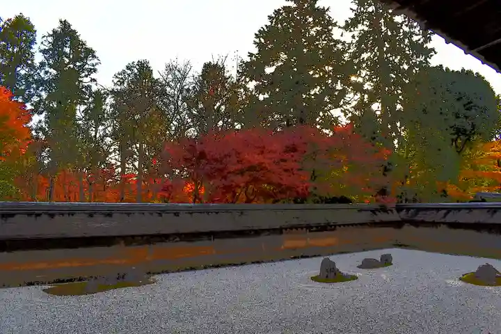 龍安寺の庭園