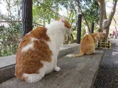 熊野若王子神社(京都府)