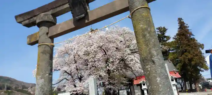 武田廣神社の鳥居