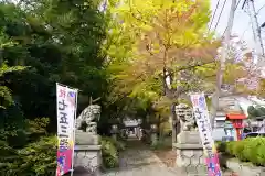 神炊館神社 ⁂奥州須賀川総鎮守⁂の七五三参