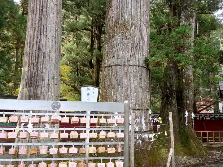 日光二荒山神社の自然