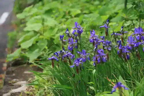 愛宕神社の自然