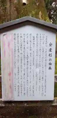 箱根神社の歴史