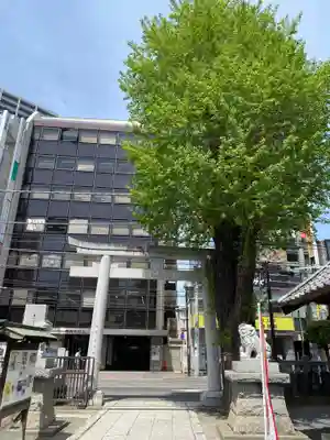 柏神社(千葉県)