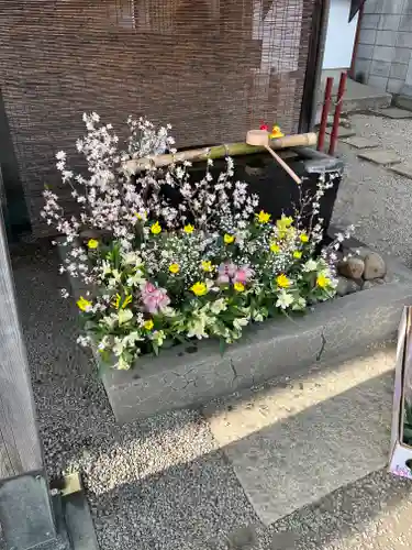 上尾御嶽神社の手水