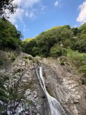 不動尊(布引の滝)の自然
