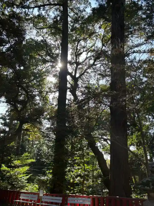 麻賀多神社の{uncategorized: "未分類", other: "その他", undefined: "問題あり", building: "その他建物", grave: "お墓", sacred_gate: "鳥居", guardian: "狛犬", statue: "像", buddha: "仏像", history: "歴史", nature: "自然", garden: "庭園", animal: "動物", pagoda: "塔", temizu: "手水舎", mountain_gate: "山門・神門", sanctuary: "本殿・本堂", subordinate: "末社・摂社", art: "芸術", scenery: "景色", jizo: "地蔵", ema: "絵馬", goshuin: "御朱印", omikuji: "おみくじ", items: "授与品その他", amulet: "お守り", goshuincho: "御朱印帳", eats: "食事", festival: "お祭り", votive_dance: "神楽", shichigosan: "七五三参", wedding: "結婚式", experience: "体験その他", initially: "初詣", around: "周辺", anti_infection: "感染症対策"}