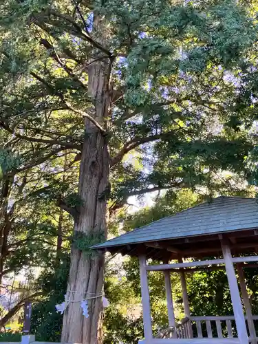 神鳥前川神社(神奈川県)