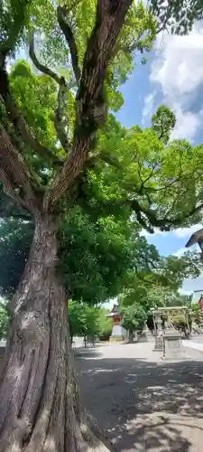 成田山大阪別院　明王院(大阪府)