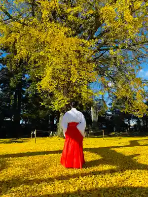 守りの神　藤基神社(新潟県)