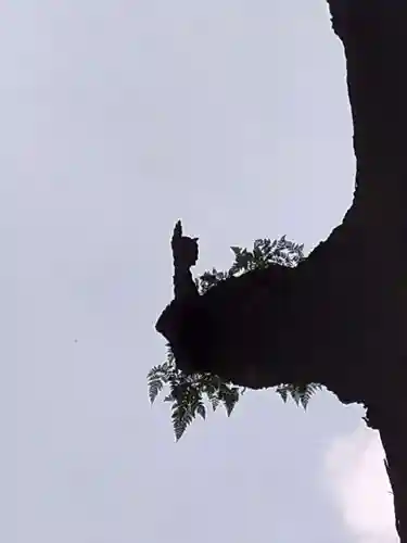 霧島神宮(鹿児島県)