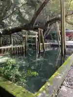 鹿島神宮(茨城県)