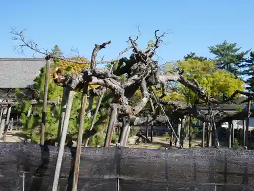 大光院 新田寺の建物その他