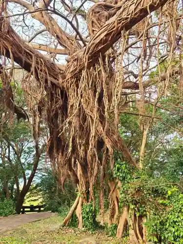 住吉神社(長崎県)