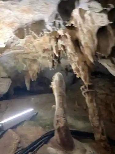 龍王神社の自然