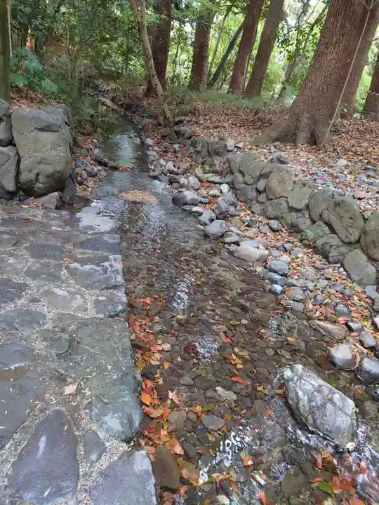 賀茂御祖神社(下鴨神社)の自然