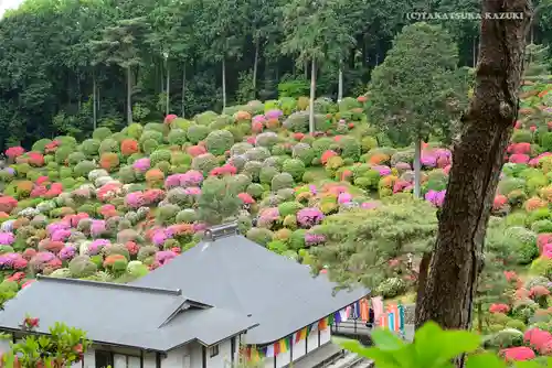 塩船観音寺の景色