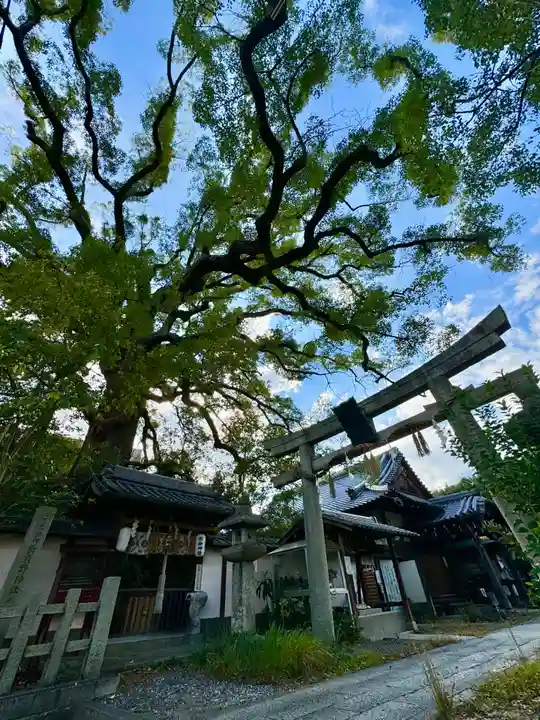 新熊野神社(京都府)