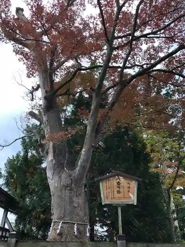 大畑八幡宮(青森県)