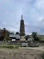 般若寺 ❁コスモス寺❁(奈良県)