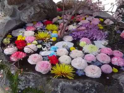 出雲大社相模分祠の手水舎
