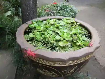 祖光院のその他建物