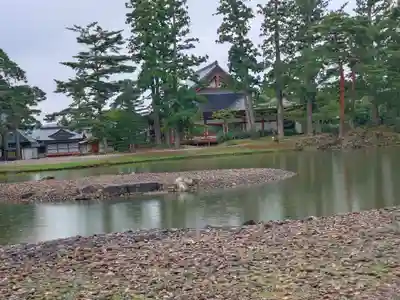 毛越寺(岩手県)