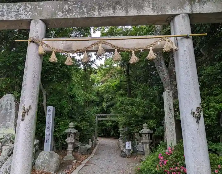 小向神社の{uncategorized: "未分類", other: "その他", undefined: "問題あり", building: "その他建物", grave: "お墓", sacred_gate: "鳥居", guardian: "狛犬", statue: "像", buddha: "仏像", history: "歴史", nature: "自然", garden: "庭園", animal: "動物", pagoda: "塔", temizu: "手水舎", mountain_gate: "山門・神門", sanctuary: "本殿・本堂", subordinate: "末社・摂社", art: "芸術", scenery: "景色", jizo: "地蔵", ema: "絵馬", goshuin: "御朱印", omikuji: "おみくじ", items: "授与品その他", amulet: "お守り", goshuincho: "御朱印帳", eats: "食事", festival: "お祭り", votive_dance: "神楽", shichigosan: "七五三参", wedding: "結婚式", experience: "体験その他", initially: "初詣", around: "周辺", anti_infection: "感染症対策"}