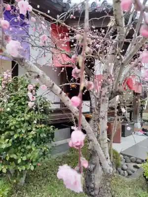 宝勝山　南藏院   蓮光寺の末社・摂社