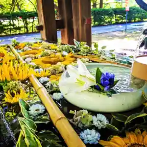 札幌護國神社の手水舎(2023年08月14日(月) 12時54分21秒投稿)