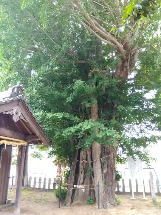金山彦神社(福井県)