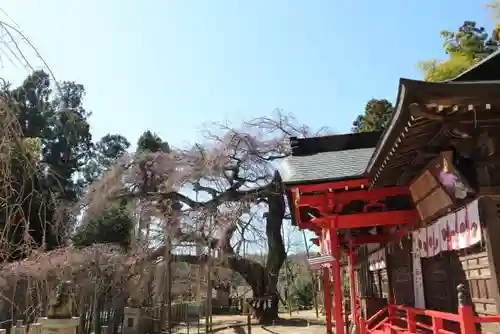 小川諏訪神社の本殿・本堂