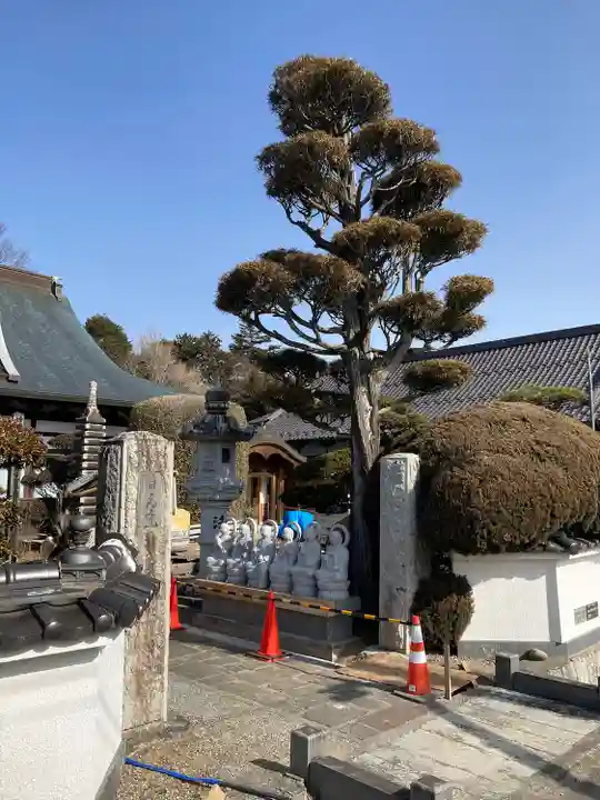 自元寺の山門・神門