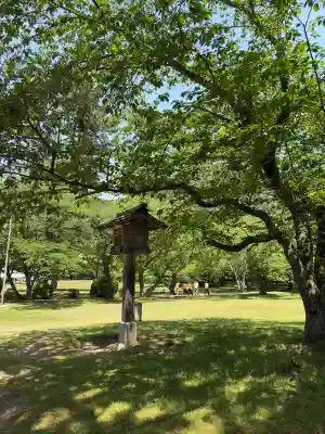 出雲大社(島根県)