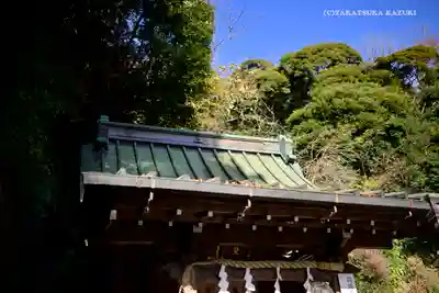 銭洗弁財天宇賀福神社(神奈川県)