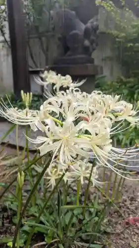 全興寺(大阪府)